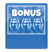 Bonus