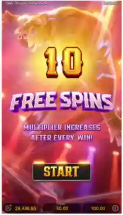 Free Spins Feature