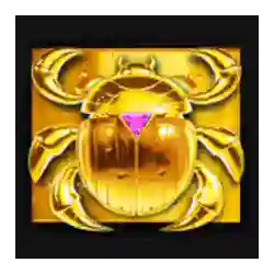 Wild Symbol