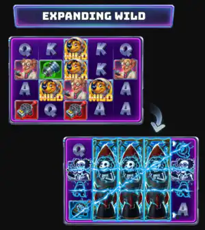 Expanding Wild