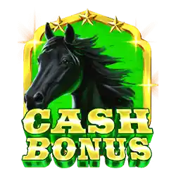 Cash Bonus