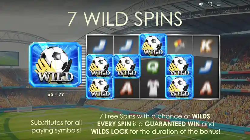 7 Wild Spins