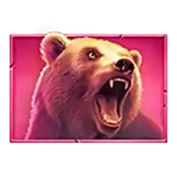 Bear symbol