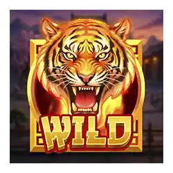 Wild symbol