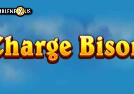 Charge Bison