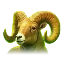 Symbol 05 Charge Bison