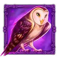 Symbol 04 Druid’s Fortune