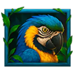 Symbol 05 Hit the Jungle
