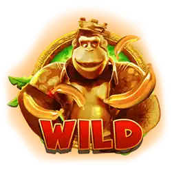 Wild Symbol
