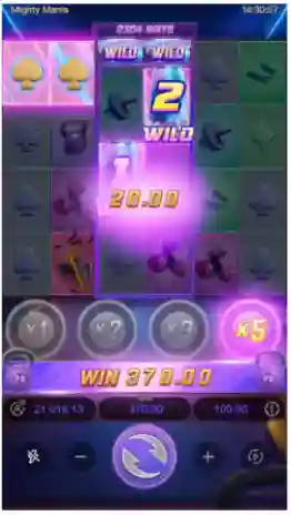 Multiplier