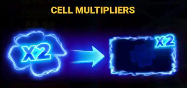 Cell Multipliers