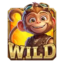 Wild symbol