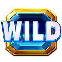 Wild symbol