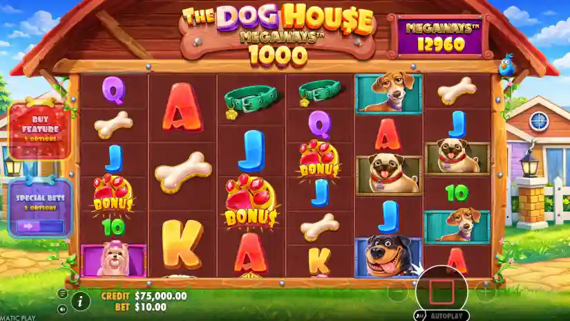 Free Spins
