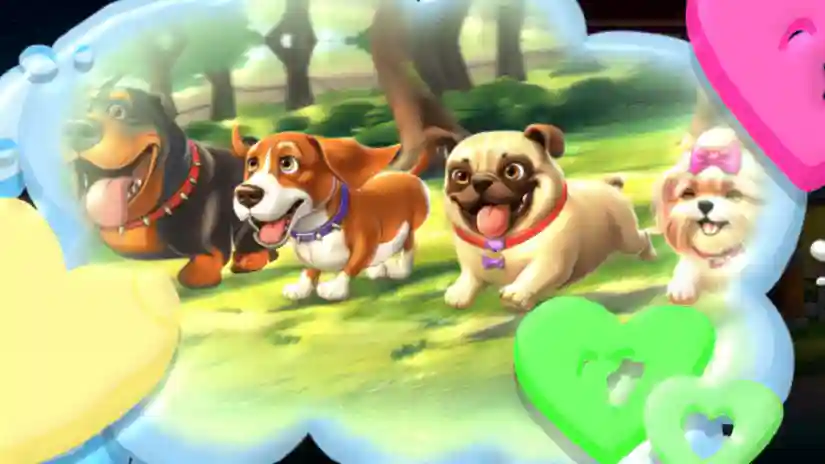 Dogs