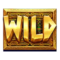 Wild Symbol