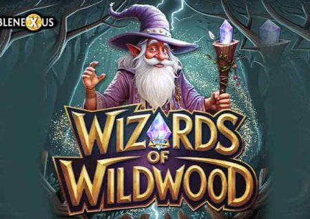 Wizards of Wild Wood Slot Logo