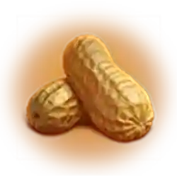 Symbol 05 3 Fortune Nuts