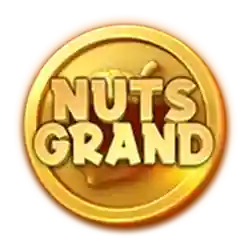 Symbol 15 3 Fortune Nuts