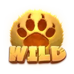 Wild Symbol