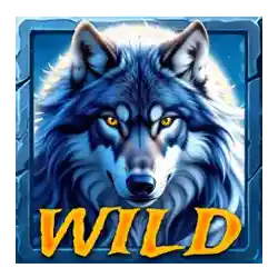 Wild Symbol