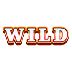Wild symbol