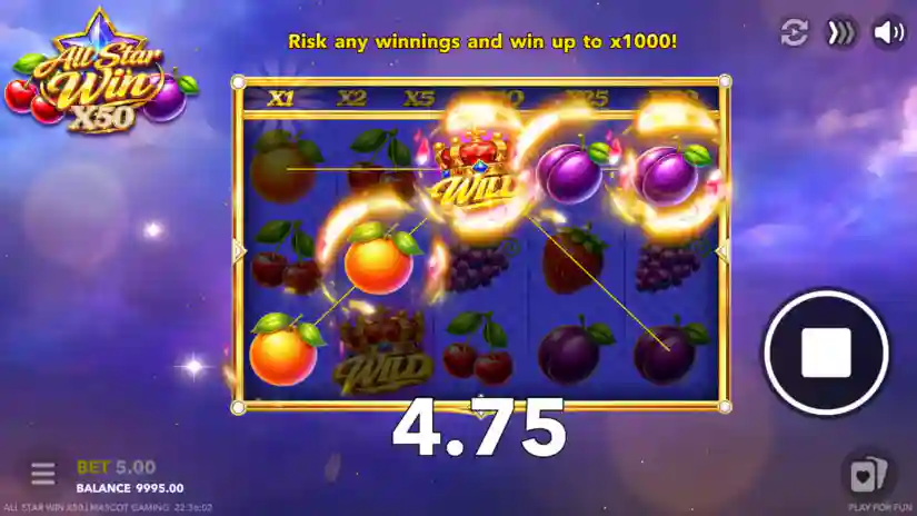 Win Multiplier