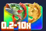 multi fish cash prize