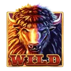 Wild symbo