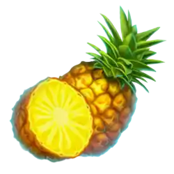 Symbol 06 Caribbean Crush