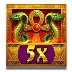 Wild and Multiplier symbol