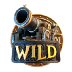 Wild Symbol