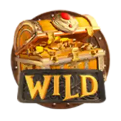 Wild Symbol