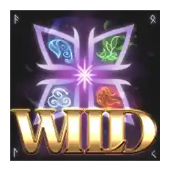 Wild Symbol