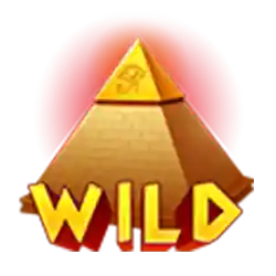 wild symbol