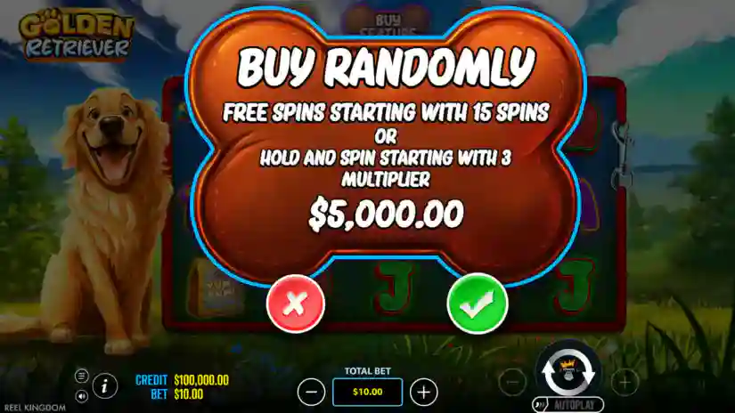 Buy Bonus