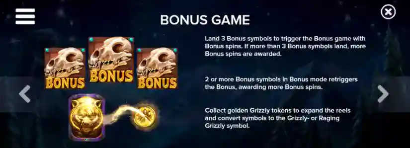 Bonus Game