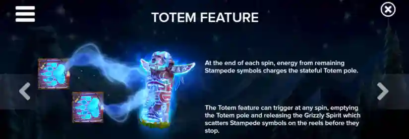 Totem Feature