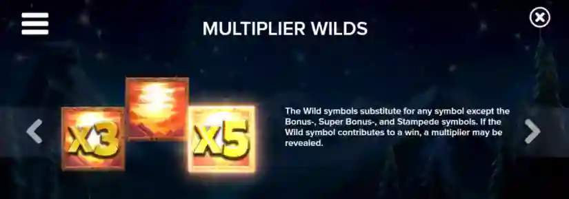 Wild Multiplier
