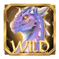 Wild Symbol