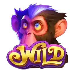 wild chimpanzee