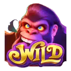 wild gorilla