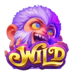 wild monkey