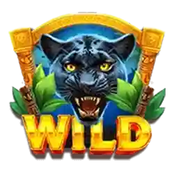 Wild Symbol