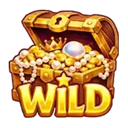Wild Symbol