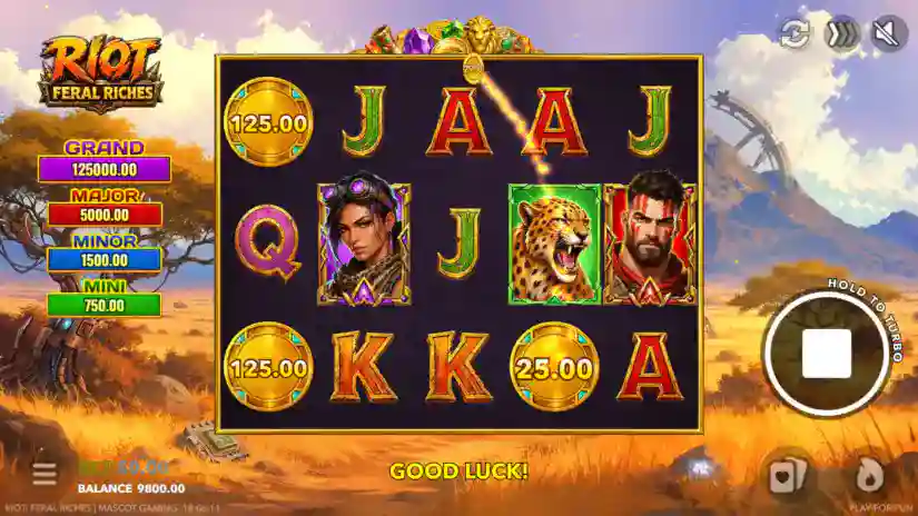 Hold And Win Feature With Jackpots