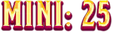 Mini: 25x