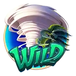 Wild symbol