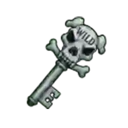 Silver Key Wild Symbol: Crypt Level