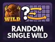 Random Stacked Wild